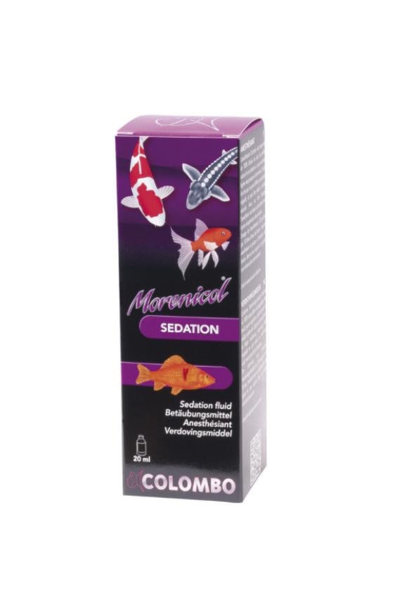 Colombo Morenicol Sedation – uspokojenie dla ryb stawowych