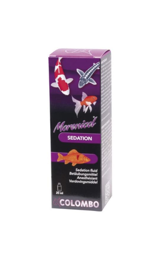 Colombo Morenicol Sedation – uspokojenie dla ryb stawowych