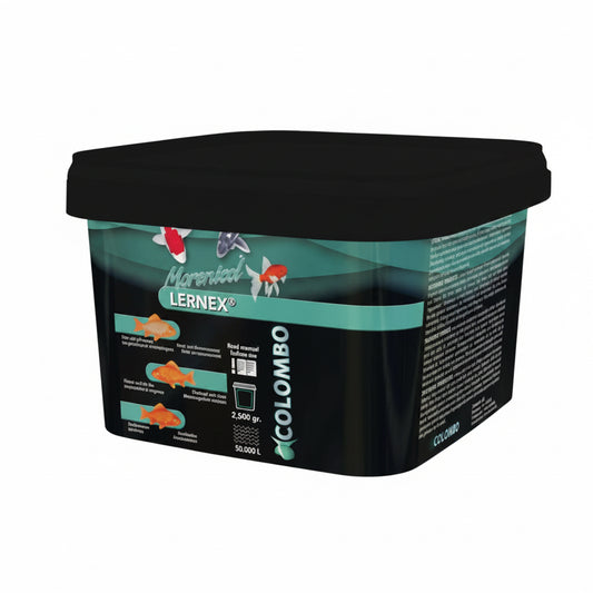 Colombo Morenicol Lernex