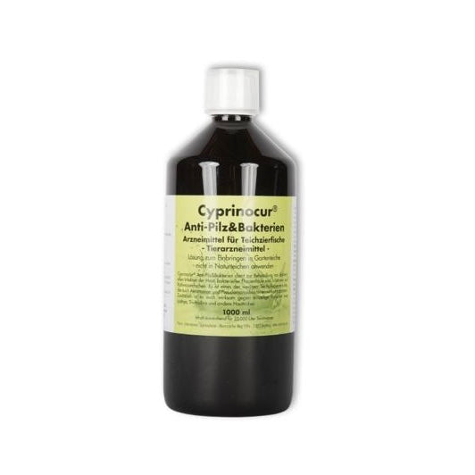 Cyprinocur® przeciwgrzybiczy i bakteriobójczy – skuteczna ochrona koi przed infekcjami skórnymi i pasożytami 1000ml