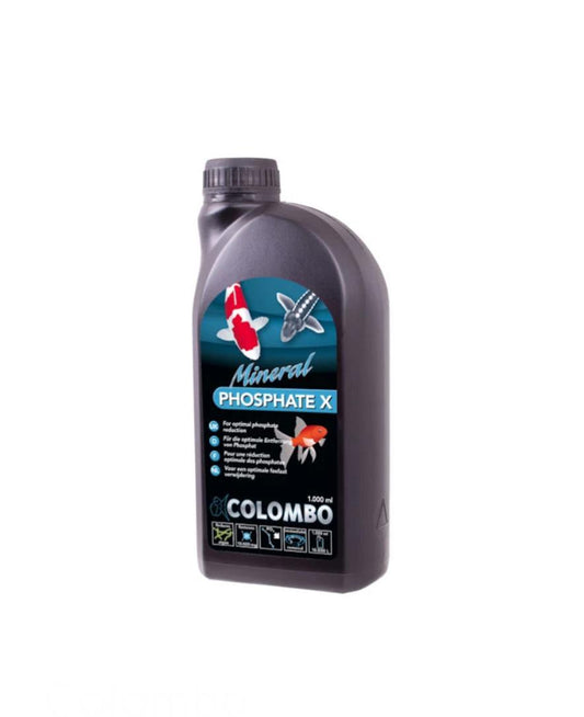 Colombo Morenicol PHOSPHATE X