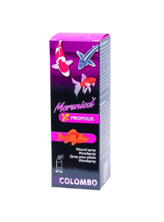 Propolis – naturalna ochrona i regeneracja ran u ryb